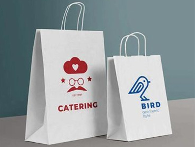 Amydor 550A Digital Silk Screen Plate Printer